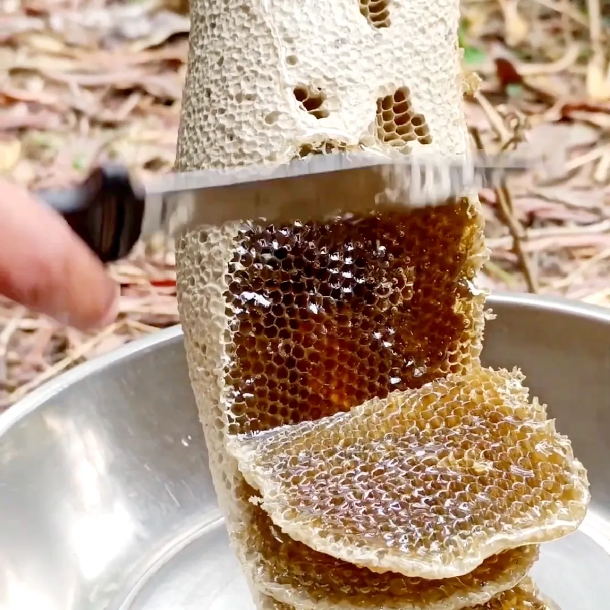 Premium Honeycomb – Large Piece 