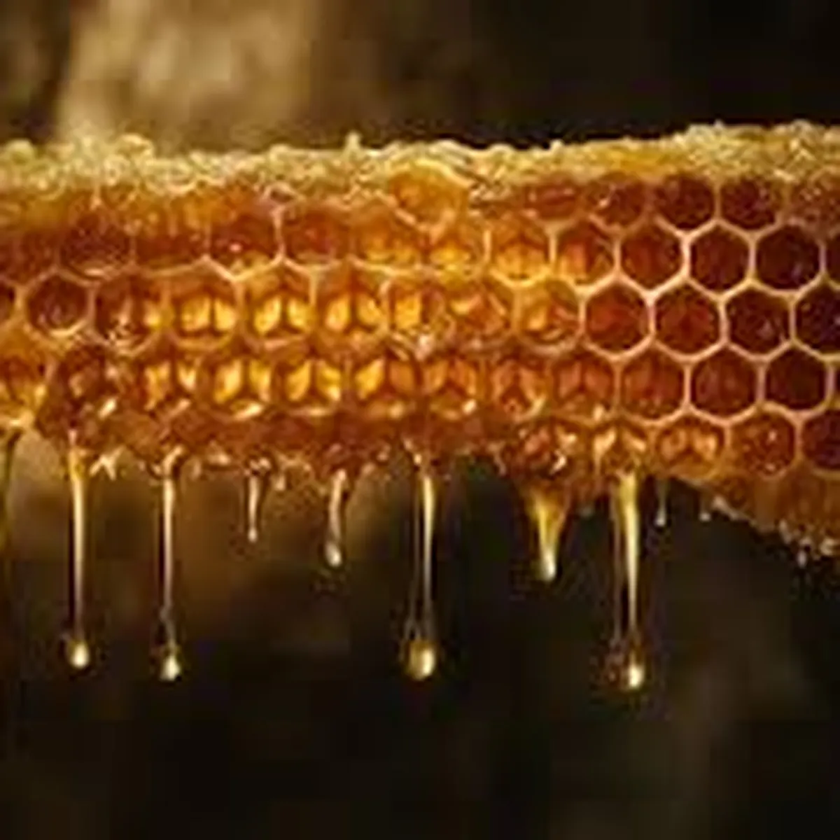 Palosa Large Bee Honey – Premium Bees