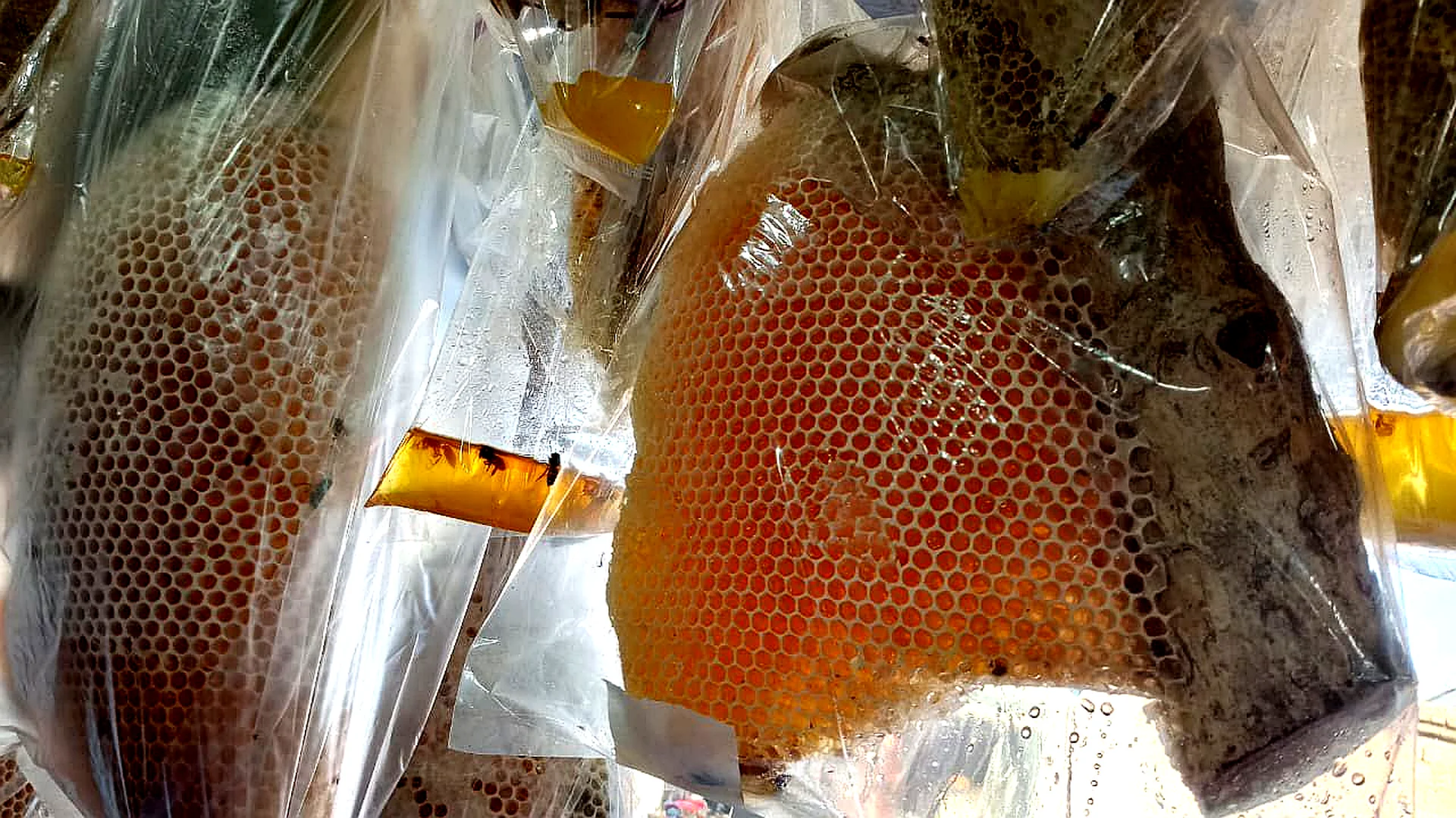 Wild Small Bee Mountain Honey – Pure Raw Mountain Honey